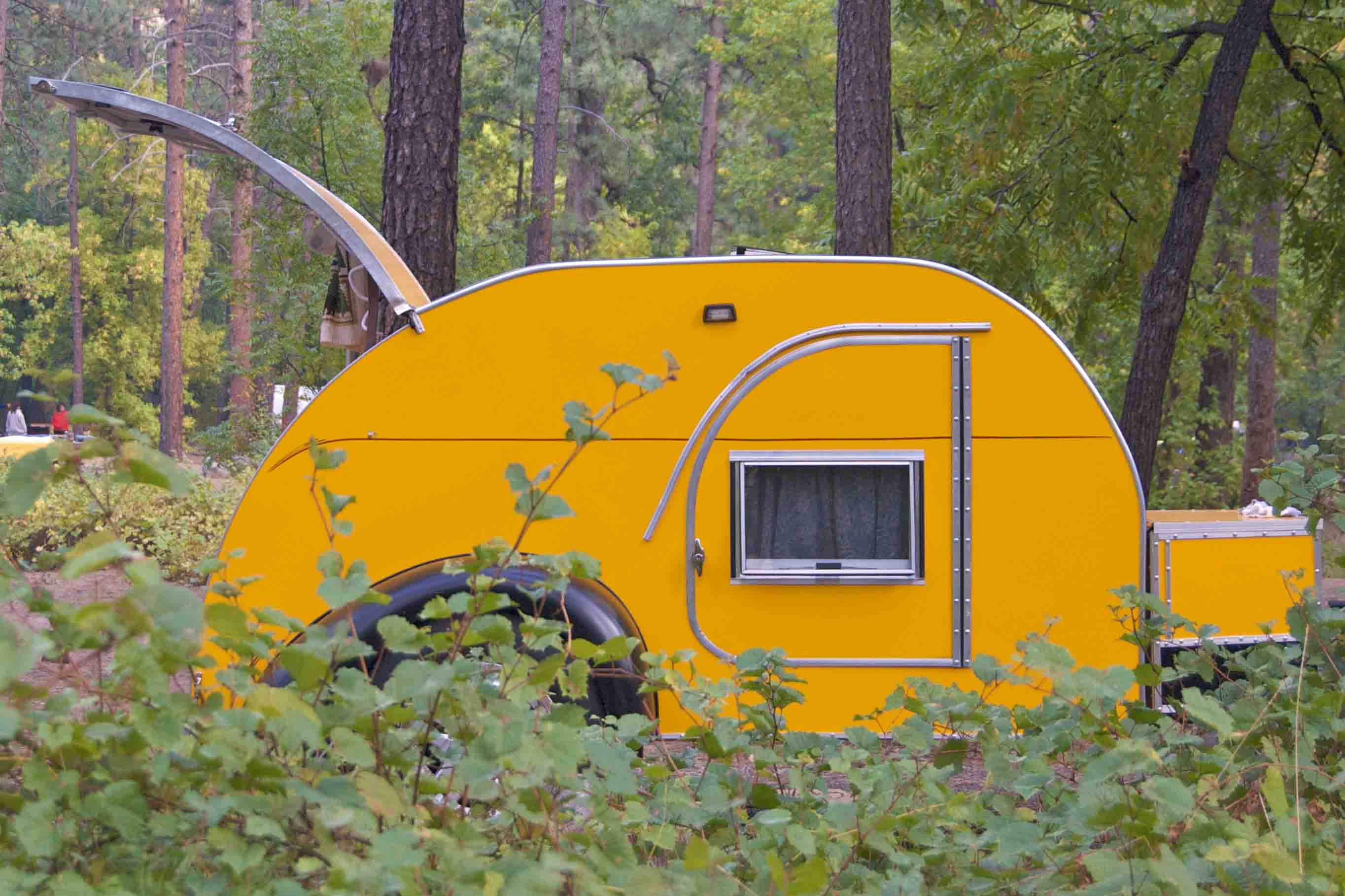 Bumblebee Teardrop