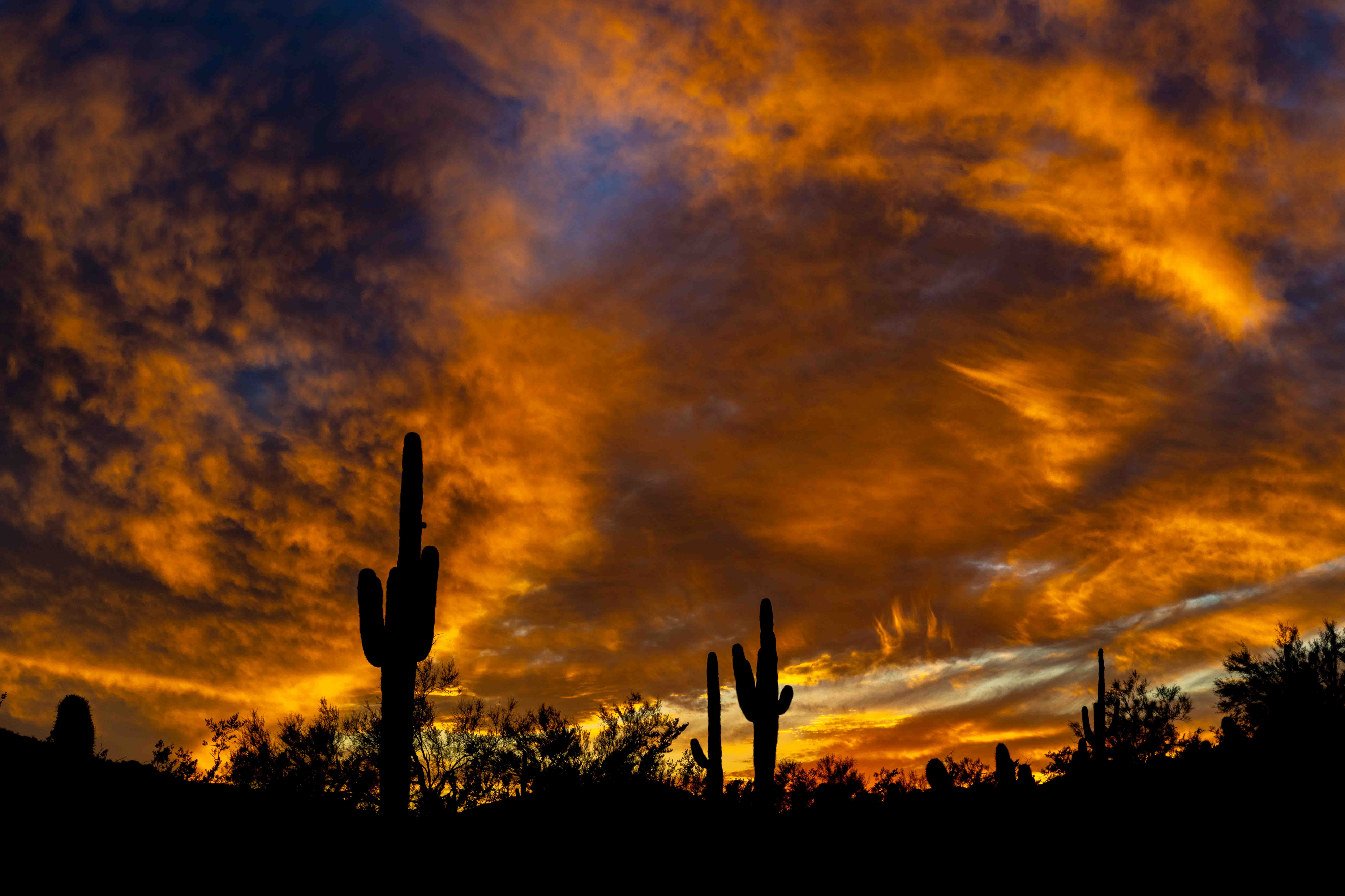 500px Photos